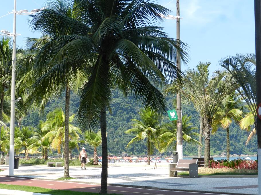 Canto do Forte