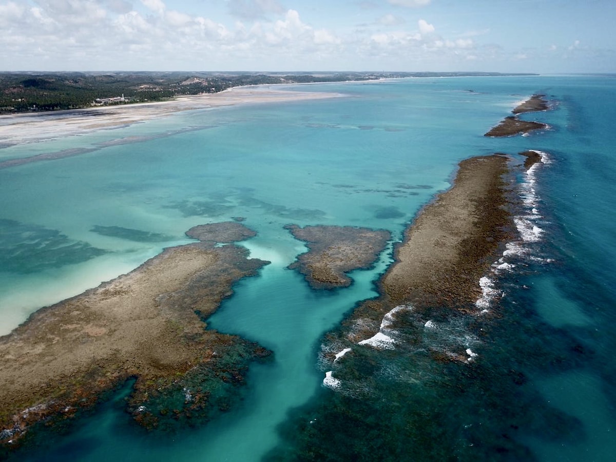 Aerial view showcasing coral reefs extending into clear blue waters. The diverse shades of turquoise and green reflect the marine life below. The sandy coastline is complemented by gently breaking waves, presenting a pristine natural seascape, ideal for exploration and relaxation.
