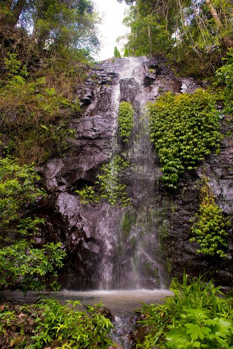 our own 35 ft waterfall 5 minutes easy walk from cabin