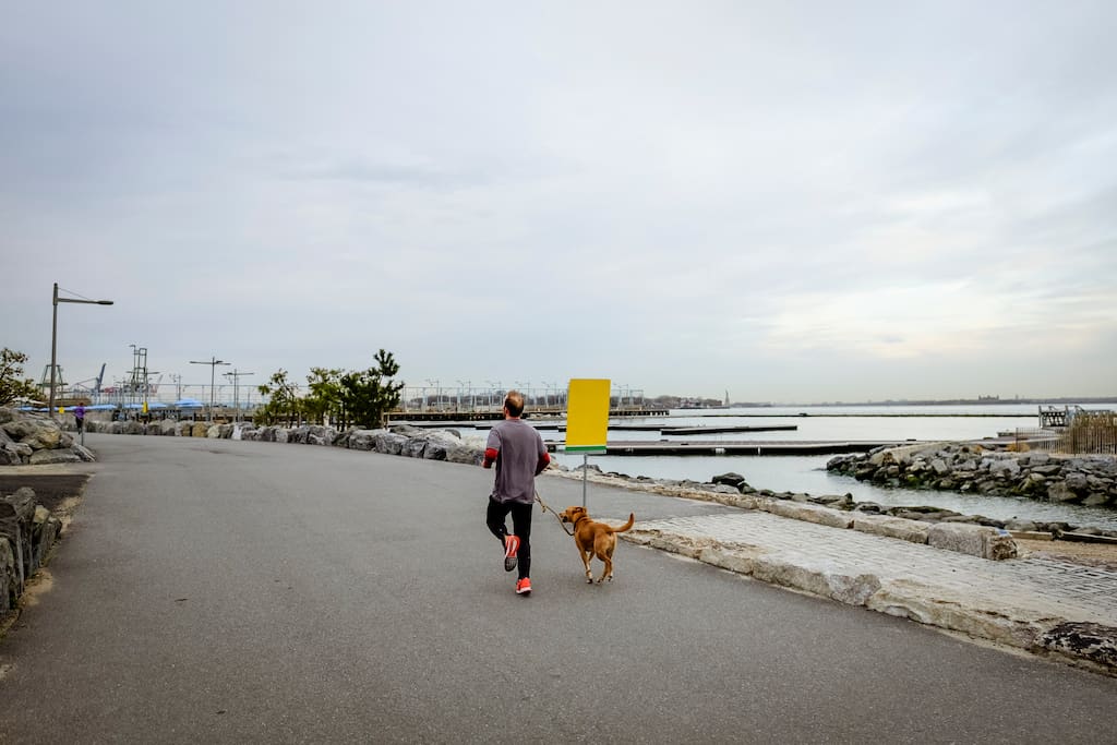 Photo of Brooklyn Heights in Brooklyn Heights