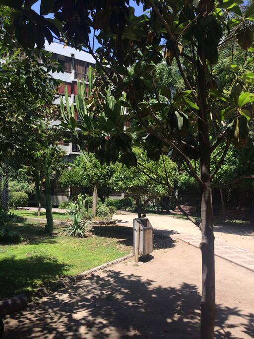 Jardín interior