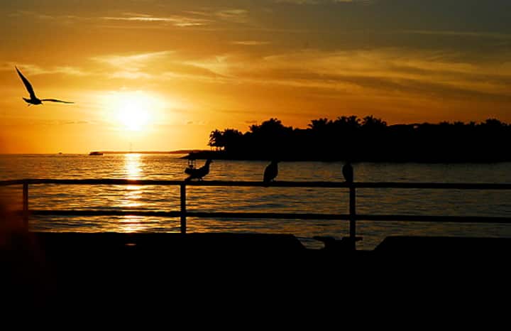 Imazhi 1 i listimit "Key West i bukur për 5 ditë"