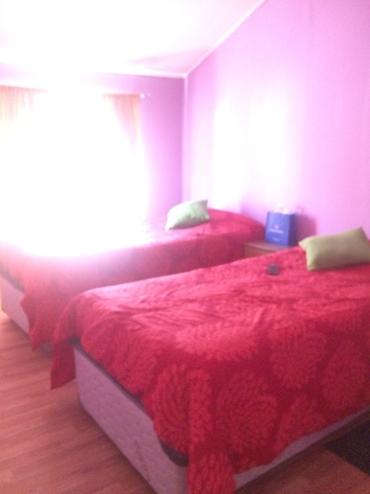 A vibrant room features two twin beds covered with bright red bedspreads, complemented by green decorative pillows. Natural light floods the space from a nearby window covered with sheer curtains, illuminating the warm wooden floor.