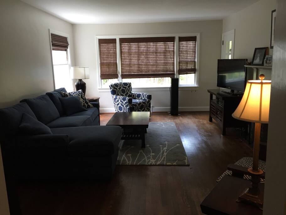 Living room (view 1)