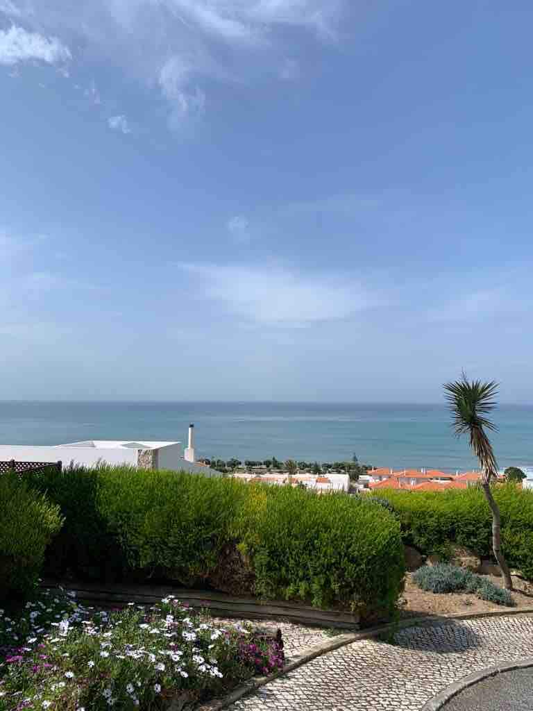A panoramic view of the sea is framed by lush green vegetation and vibrant flowers in the foreground. The landscape reveals a serene coastal panorama, with tranquil waters extending towards the horizon, and rooftops of neighboring homes visible on the lower slope.