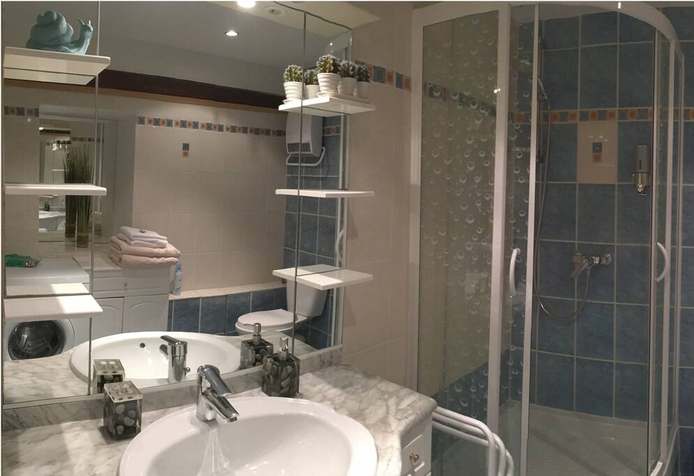 Le lavabo et la douche