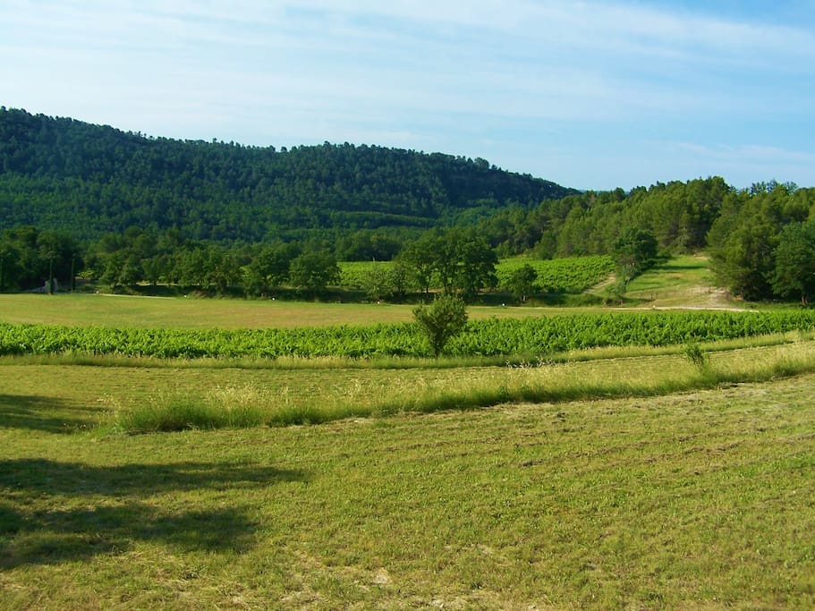 Mas Sérénité - Propriété