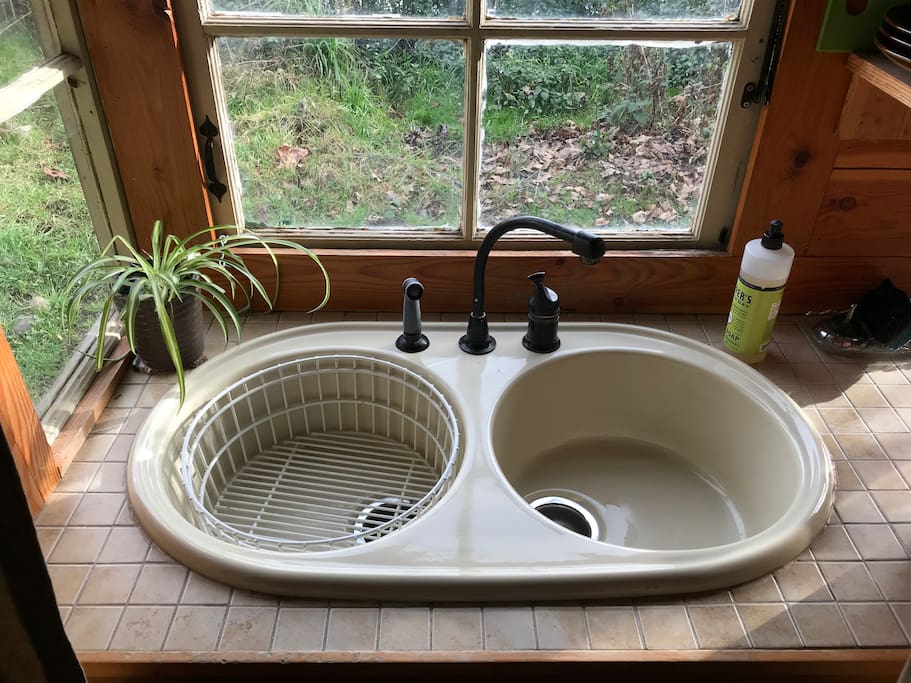 Sink with dish soap.