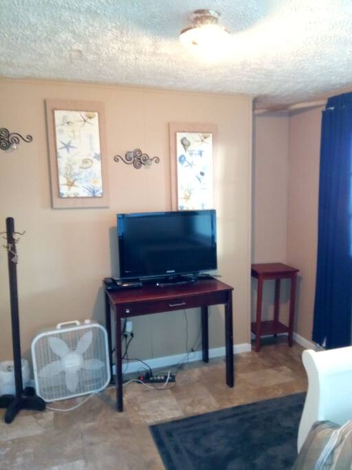 Flat screen TV with Chromecast, DVD player & local stations.