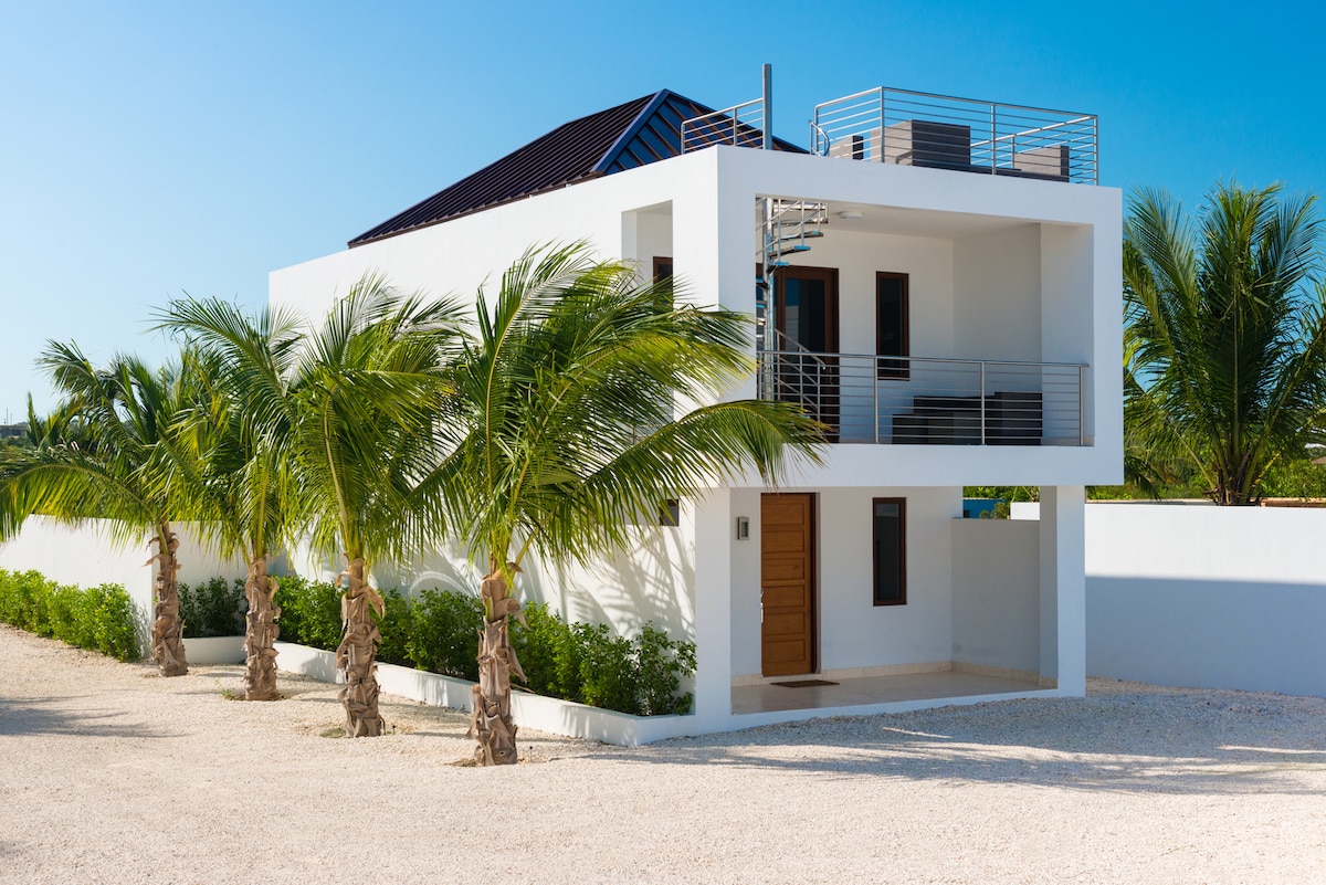 A modern, white two-story building is surrounded by lush palm trees. The exterior showcases a sleek design, with a spacious balcony on the roof and a well-defined entrance door. A light gravel pathway leads to the front of the structure, creating a clean and open atmosphere.