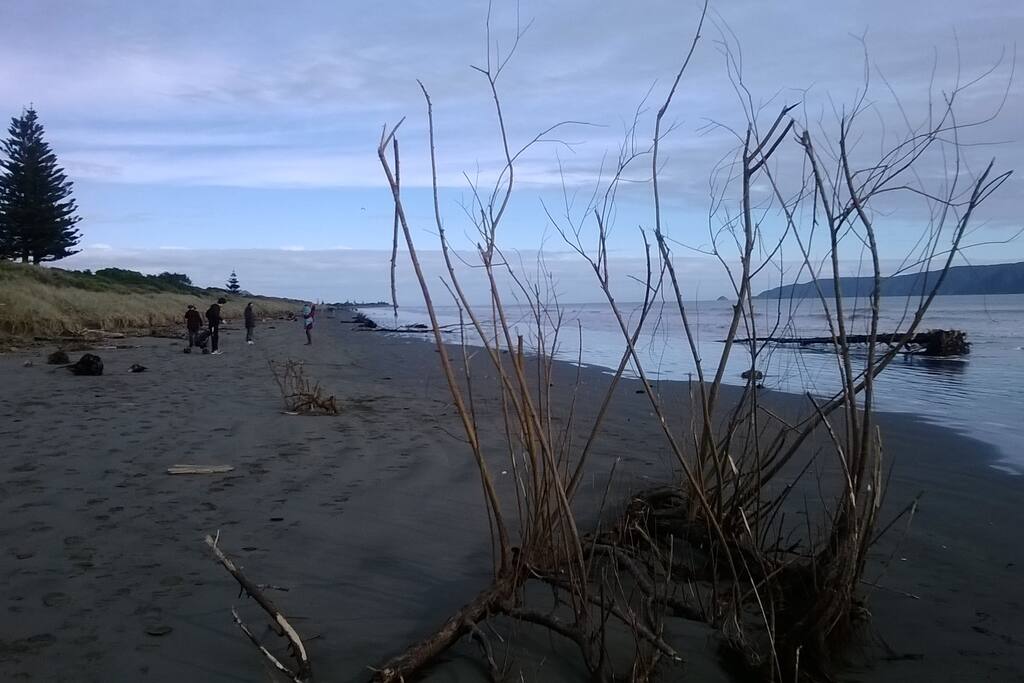 Ever changing beach