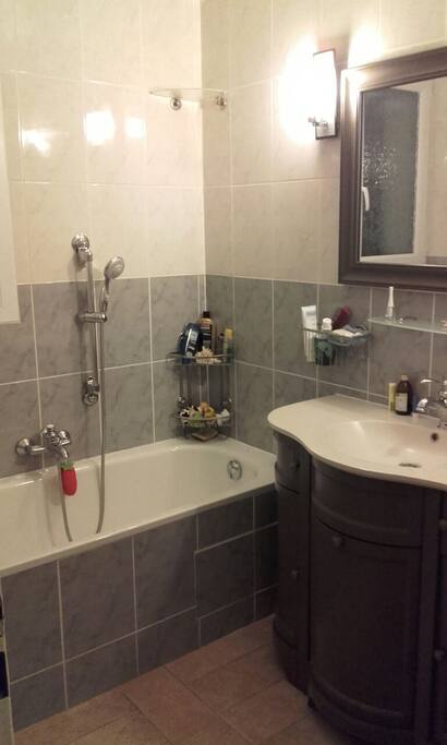 La salle de bain . Douche et baignoire