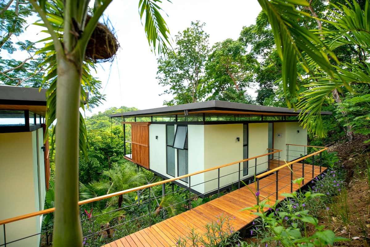 A modern structure is framed by lush greenery, featuring a wooden walkway leading to its entrance. The building showcases sleek lines and large glass windows, emphasizing its connection to the surrounding nature.