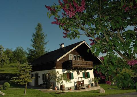 Ferienhaus Margarethe am Attersee