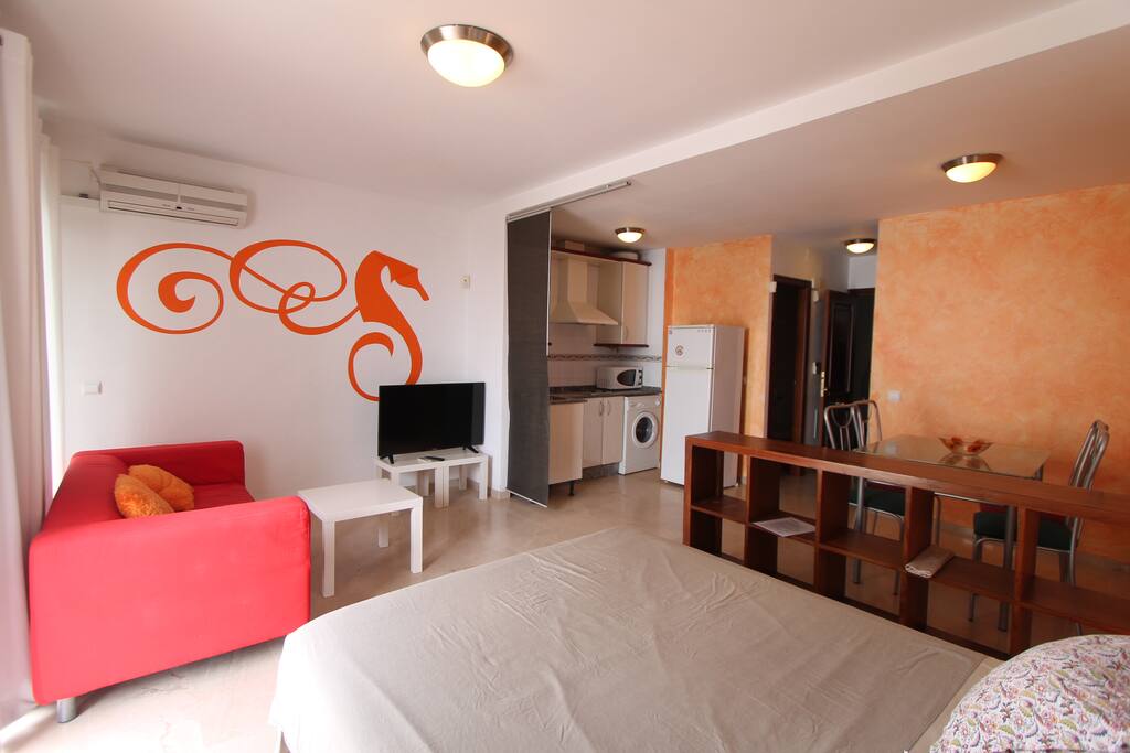 Estudio tipo loft