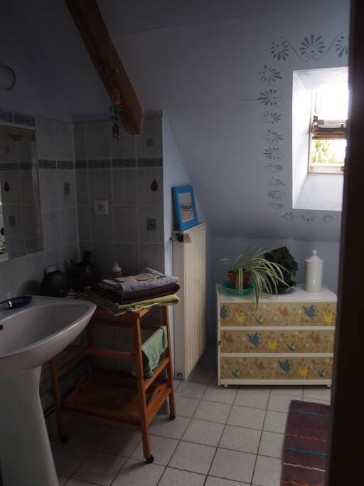 SDB avec toilette et douche dans la chambre principale