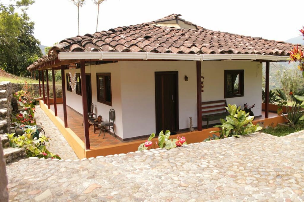 vista frontal