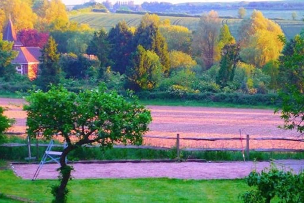 Back garden of springmead
