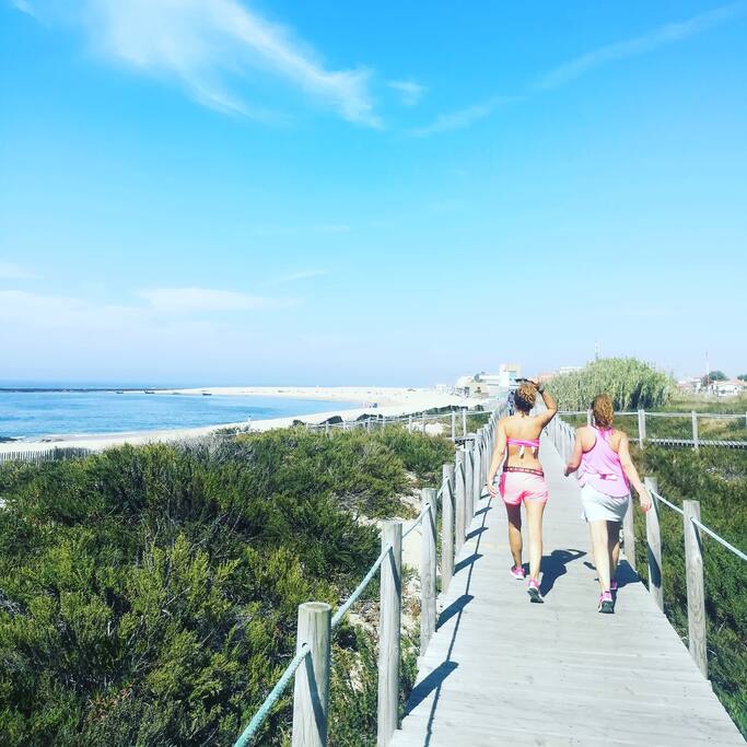 Lovely walks along the coast