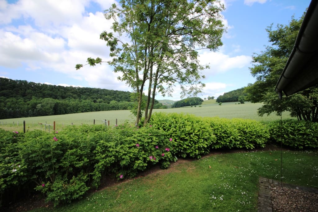 Aussicht im Sommer