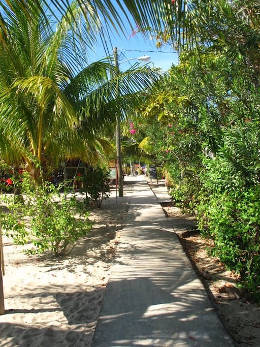 Side Walk