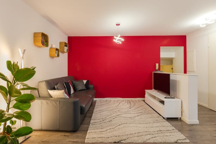 Appartement Chaleureux Hyper Centre + Parking - Colmar