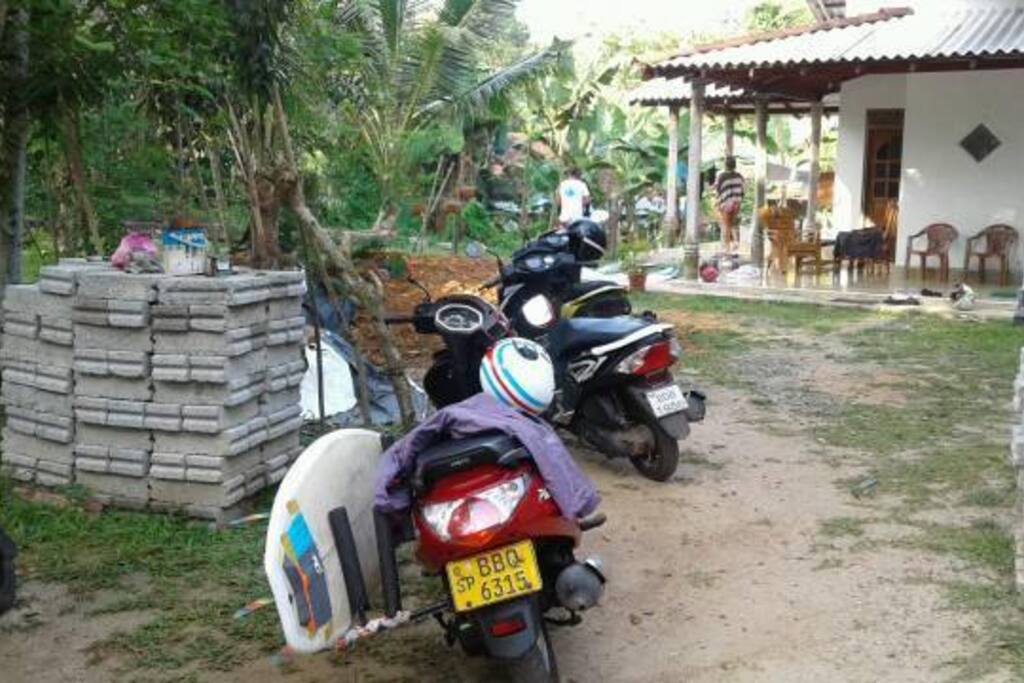 Garden