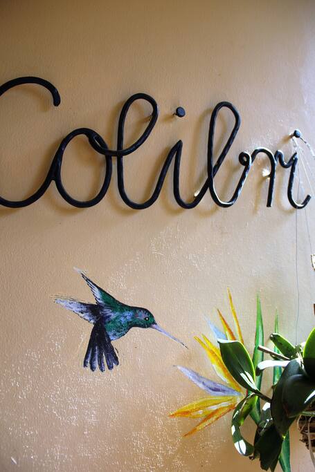 Full of whimsy and artistic detail