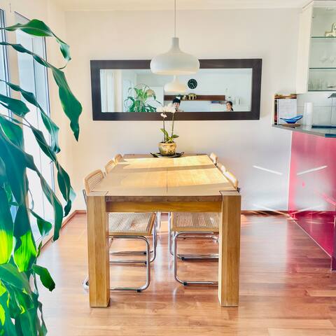 Apartment (120m2) near airport & city