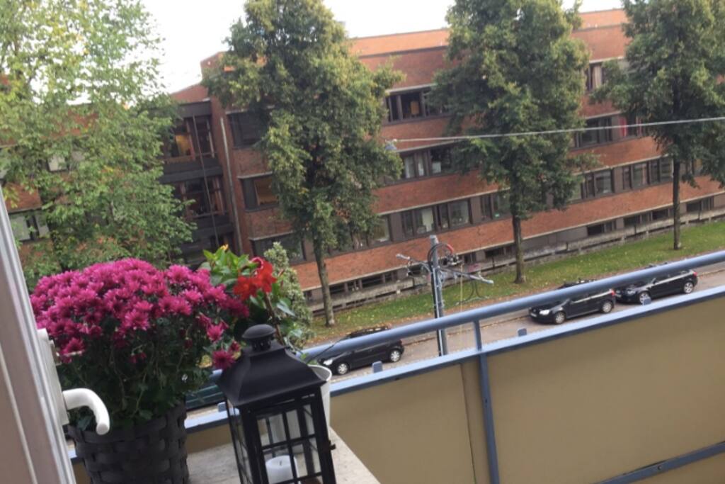 Balcony facing the Veterinarian College
