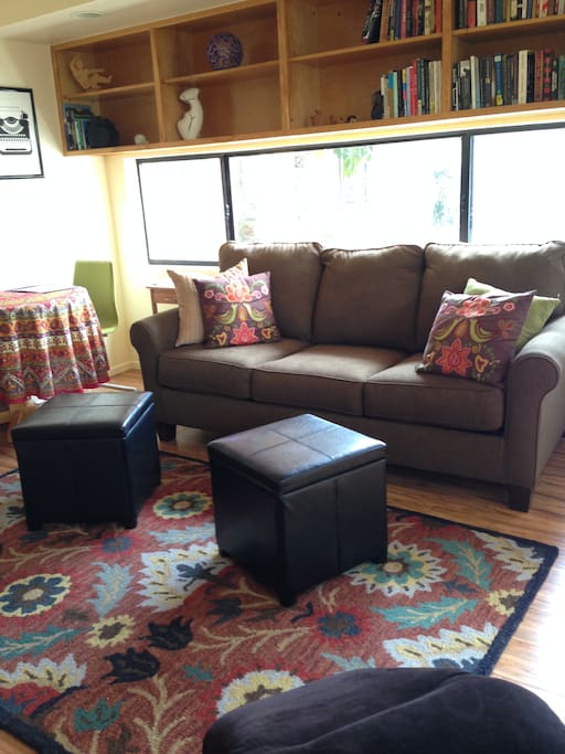 Apt. Living area w/Pull out Sofabed