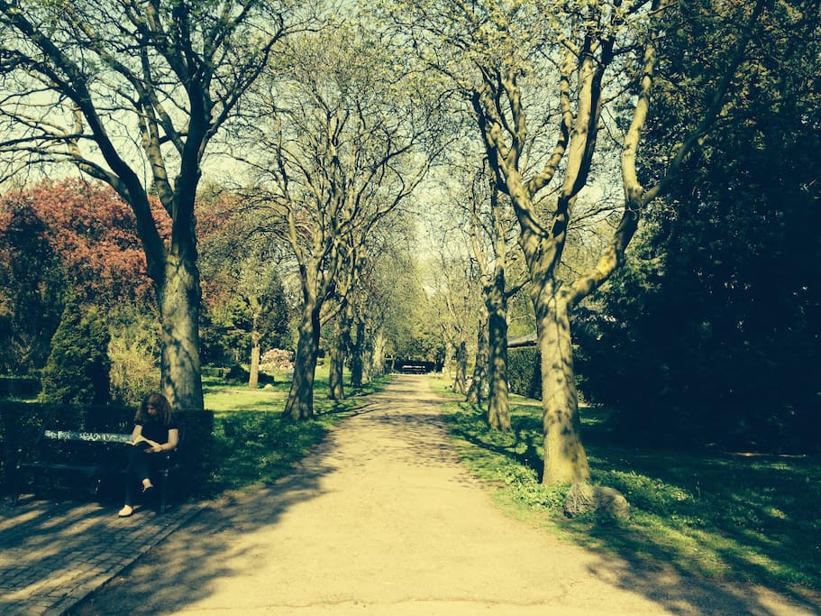 100 meters to the park (Assistens Cemetery).
