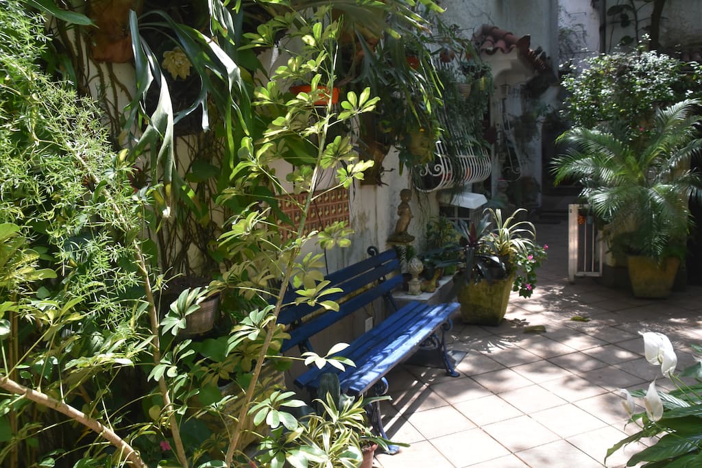 Jardim