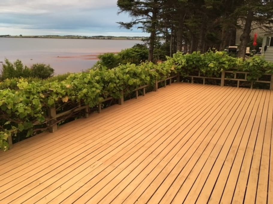 the front deck of the cottage with grape vines bordering the deck