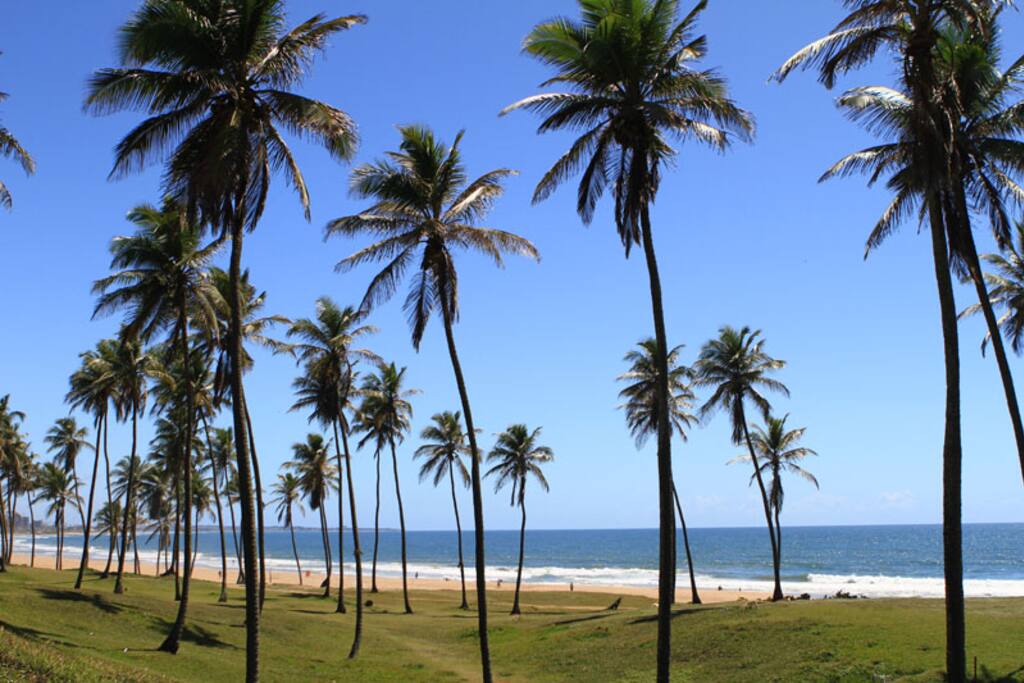 Praia do Jardim de Allah, a 5 minutos caminhando do Prédio