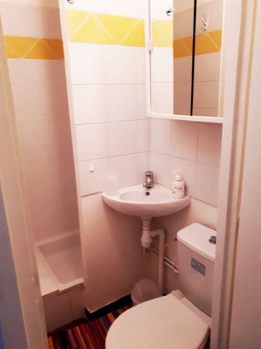 salle d'eau, douche, wc, lavabo...