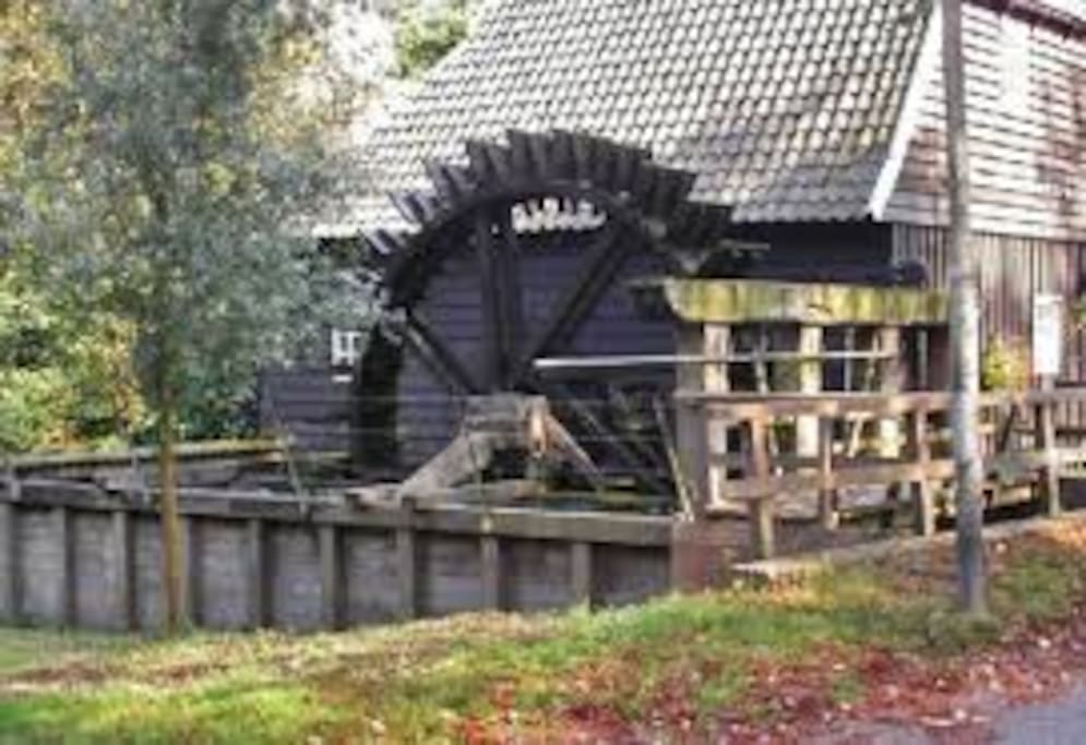Scenery in the neighbourhood. Water mill.