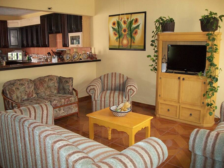Internet TV as well as DVD player