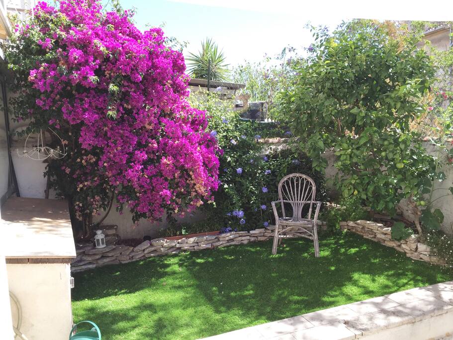 jardin