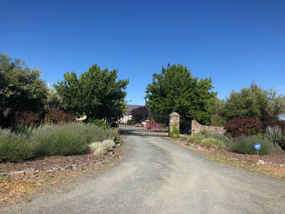 Driveway with Private Gated Entry