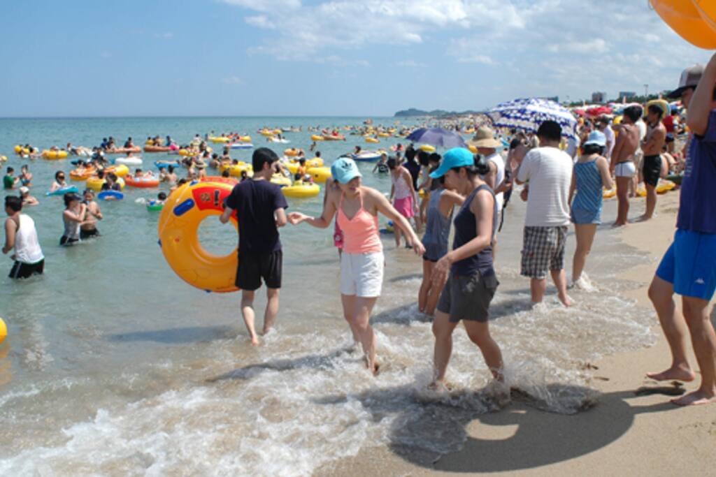낙산해수욕장,beach