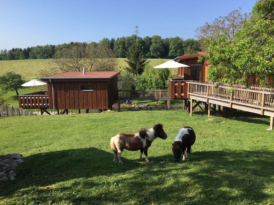 Bienvenue à la ferme.