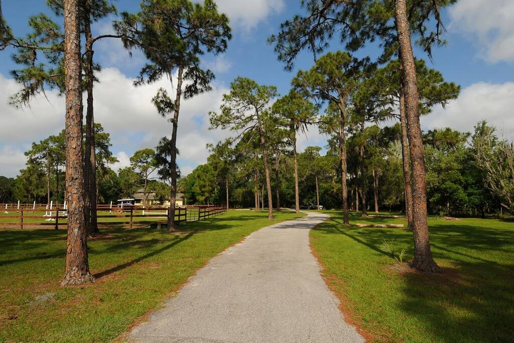 FRONT DRIVEWAY
