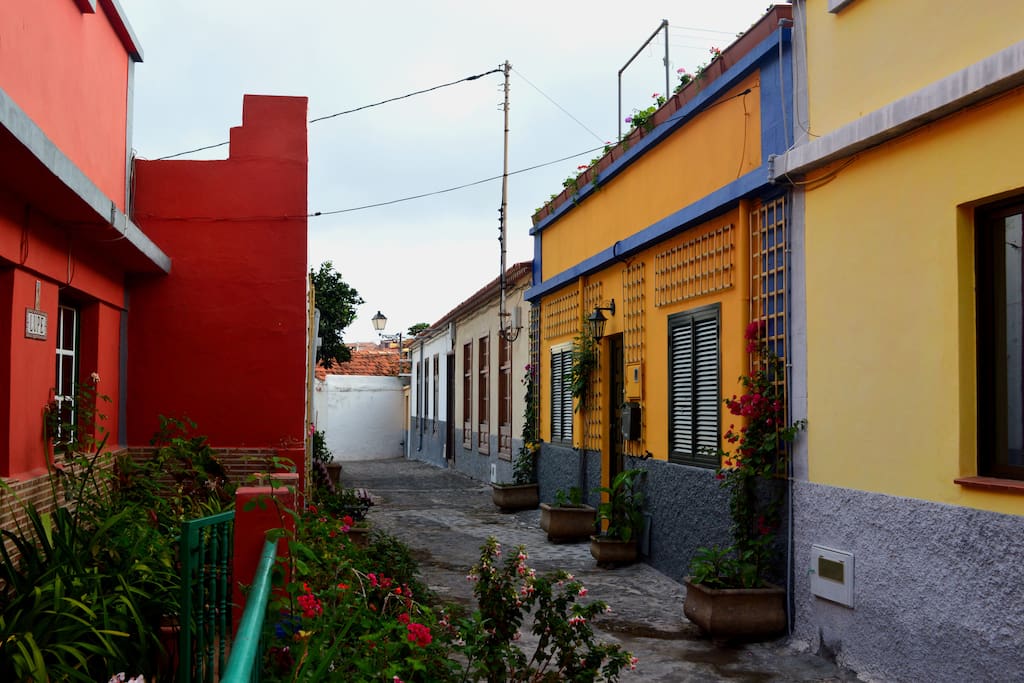 Vista de la casa