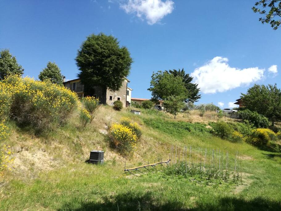 Terreno intorno alla casa/Piece of land around the house