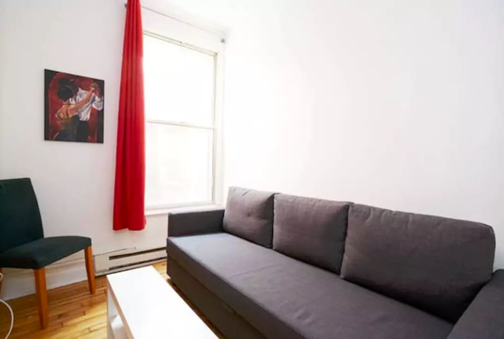 Comfortable sofa bed to relax or sleep