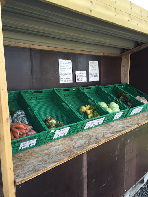 Grønnsaksboden vår. Our stand where we sell fresh vegetables of the season.