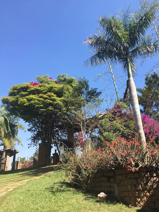 Entrada