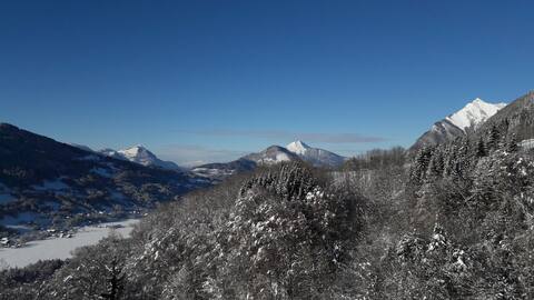 Célestine / 6 bedrooms / 4 bathrooms / SAUNA