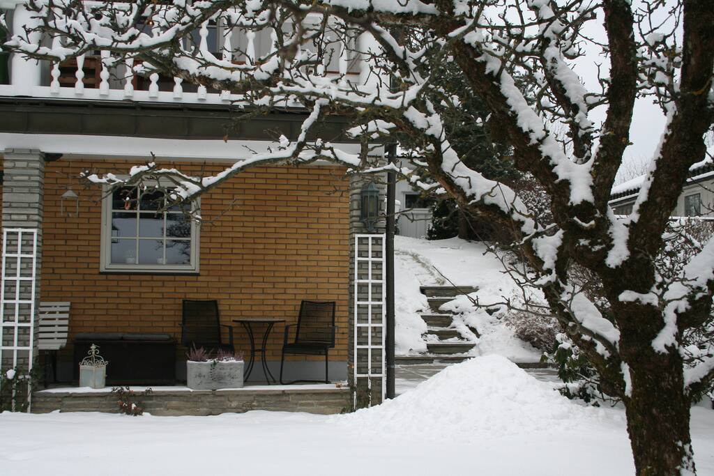 Winter season